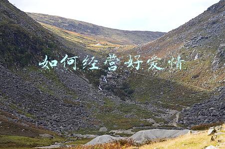 怎么经营好爱情-怎么经营好爱情和婚姻