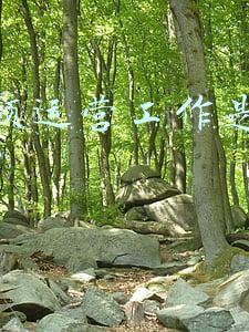 短视频运营工作内容(短视频运营方案)