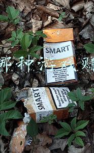 网上哪种游戏赚钱快