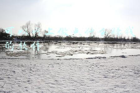 可以网上做点什么赚钱的软件