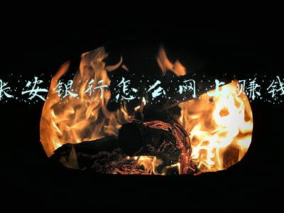 长安银行怎么网上赚钱