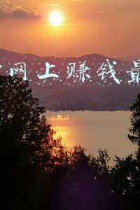 2017网上赚钱最快的