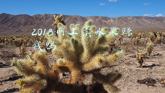 2018网上卖水果赚钱吗