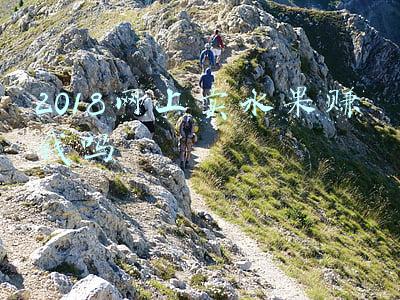 2018网上卖水果赚钱吗