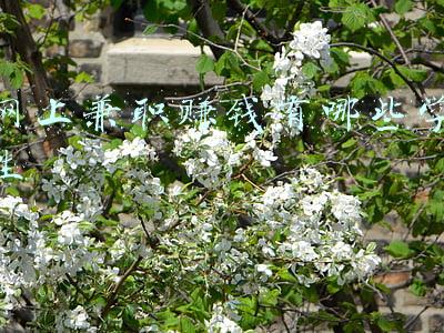 兼职学生网上赚钱正规(学生党兼职，这些都是骗局，当心被骗)