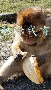 网上兼职赚钱有哪些学生