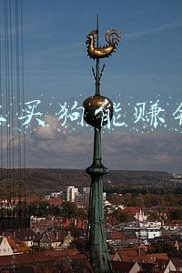 网上买狗被骗(网上买狗遭遇诈骗)