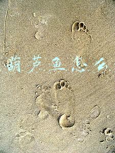 网上葫芦鱼怎么赚钱
