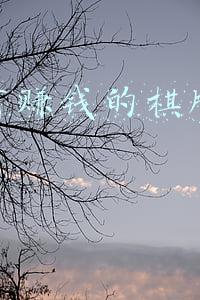 网上有赚钱的棋牌软件吗
