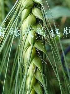 网上有赚钱的棋牌软件吗