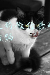 微信上的网上兼职是真的吗(在微信群里抢红包，还能有提成？诱人的兼职背后竟是“裸聊”……)