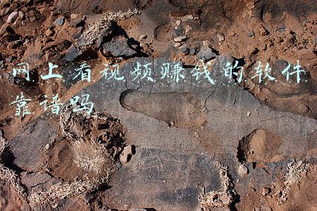 网上看视频赚钱的软件靠谱吗