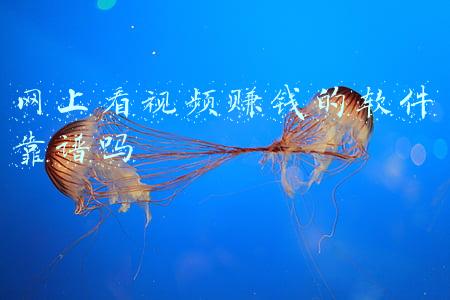 网上看视频赚钱的软件靠谱吗