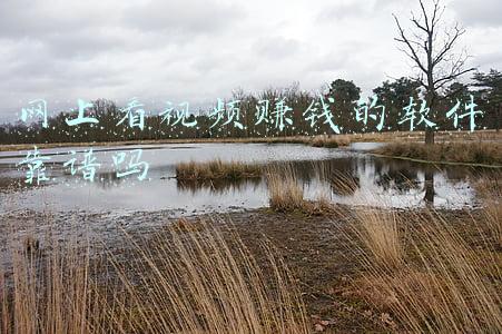 网上看视频赚钱的软件靠谱吗