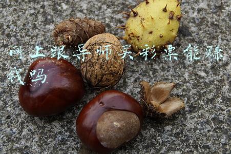 彩票赚钱导师(金川公安电诈预警丨“导师”带你赚钱带你飞？)
