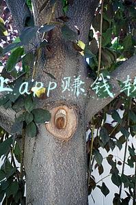 软件自学网app(6个骨灰级的自学网站，知乎60万人热推！一年省下几万块)