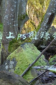 ps修图赚钱(辛辛苦苦学了这么久PS，还不知道如何接单赚钱？)
