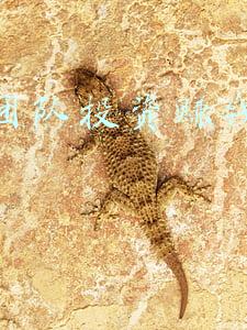 东航团队网(东航“数字机坪”：人均保障旅客增8%，优化排班让跳槽少1/3)