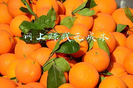 网上赚钱平台有哪些(亲身体验6大自媒体平台，这3个最适合新手，0基础也能写作变现)