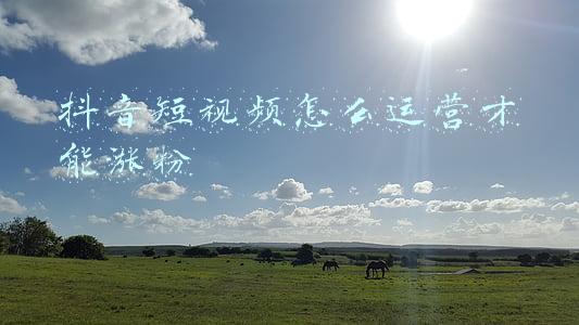 抖音拍视频怎么涨粉丝(抖音涨粉丝怎么涨，学会这4点不再难)