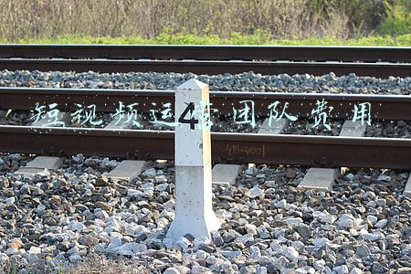 短视频运营团队费用