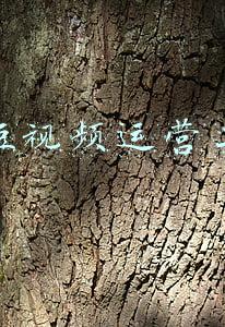 杭州短视频运营工作室