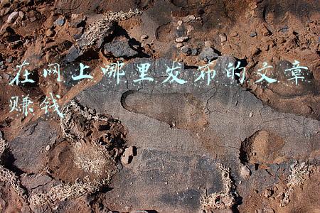 新浪网怎么发布文章(网赚引流之：新浪博客引流操作的细节分析)