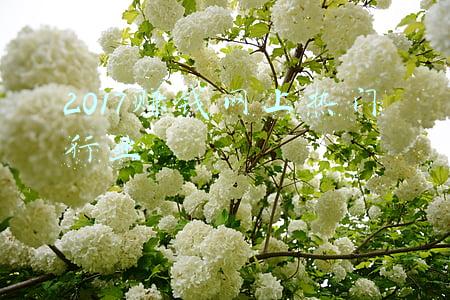 2017赚钱网上热门行业