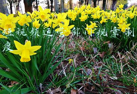 短视频运营规则(抖音运营：详细的了解短视频的运营规则)