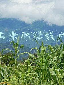 正规的网上兼职赚钱平台(不会吧！还有人不知道这些好兼职赚钱平台？不收费！别再傻傻刷单)