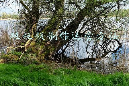 短视频如何制作(普通人做短视频的窗口期已不多，大佬告诉你怎么做（值得收藏）)