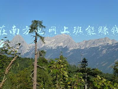 南方电网是做些什么工作(南方电网打造现代化供电服务体系)