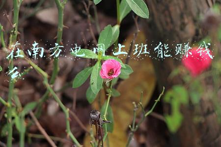 南方电网ppt模板(第三弹：20套国家电网公司工作总结，汇报PPT模板，升值加薪必备)