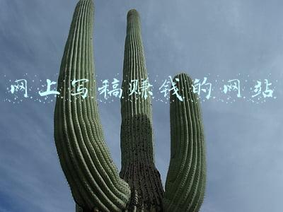 网上写稿赚钱的网站