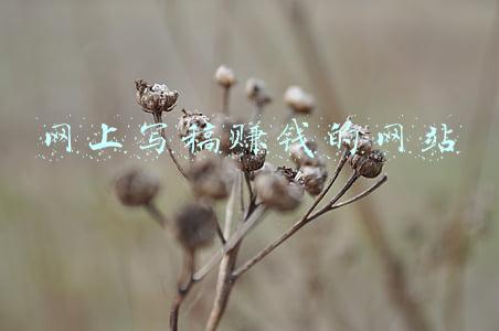 网上写稿赚钱的网站