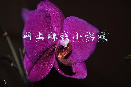网上赚钱小游戏在哪下载(又好玩，又能赚钱的小游戏。还在等什么。扫码下载)