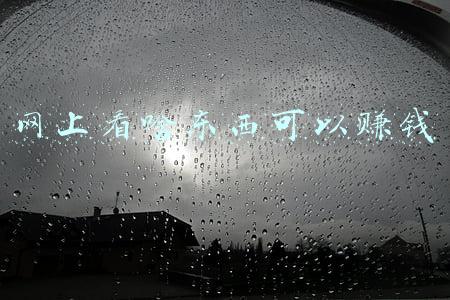 网上看啥东西可以赚钱