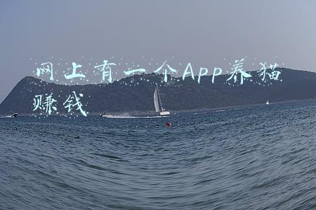 网上有一个App养猫赚钱