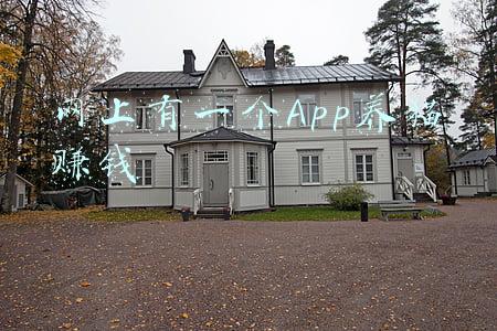 网上有一个App养猫赚钱