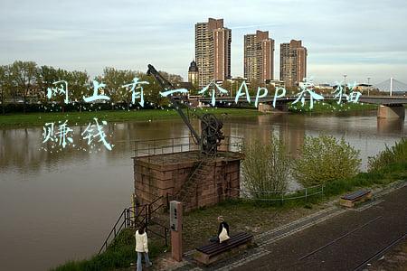 网上有一个App养猫赚钱