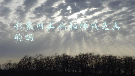 网上刷彩票的,是真是假(宅家刷手机警惕电诈那些套路：刷单得小利失巨款)