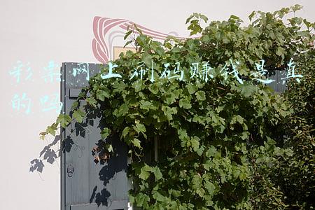 500万彩票网3d杀码(卜算子2021323期福彩3D：本期独胆参考7，杀5)