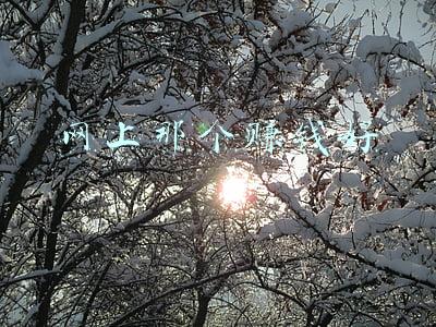 网上那个视频是不是杨幂(模仿杨幂的网红三梦奇缘被永久封禁！女方称家庭条件实在太困难)