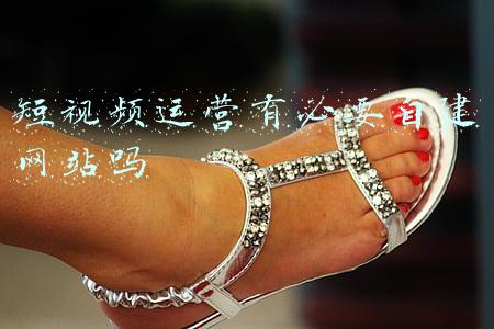 短视频运营课程网站(17个短视频素材来源网站)