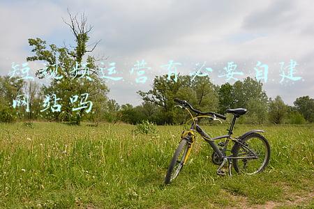 短视频运营有必要自建网站吗
