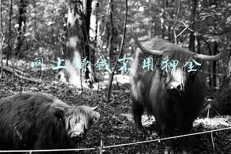 网上兼职交押金靠谱吗(交600元押金就可以在家赚钱？全国8000多位“宝妈”被坑了)