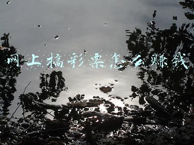 网络平台玩彩票,平台怎么挣钱(彩市如战场--彩民如何盈利？)