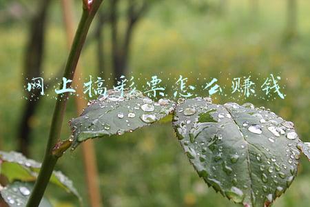 500万彩票网(500彩票网改名“比特矿业”，股票代码变更为“BTCM”)