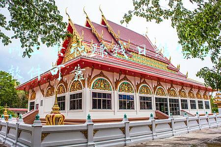 网上兼职赚钱日结app(网上兼职？足不出户每天收入100元？想兼职的焦作人看过来……)