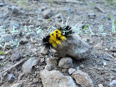 网上分享赚佣金是真的吗(帮人还信用卡赚佣金被骗28万)
